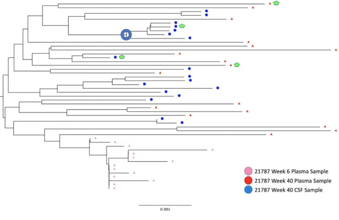 Figure 2. Rhesus Macaque Viral Phylogeny 21787
