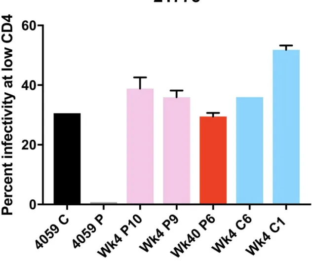 Figure 9. High-Low Assay Results for Macaque 21775