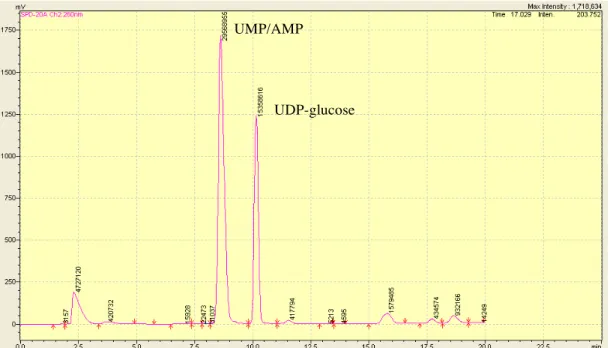 Figure 12. HPLC chromatogram depicting the conversion of glucose to UDP-glucose 5 mM or 