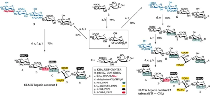 Figure 2. Chemoenzymatic synthesis of heparan sulfate. 4 