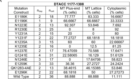 Figure 4. Quantification of DTACC 1177-1308 mutation localization during interphase. (A) This  spreadsheet represents the total number of cells for each construct that exhibited localization of  mutant DTACC 1177-1308 to MT plus-ends and to the MT lattice