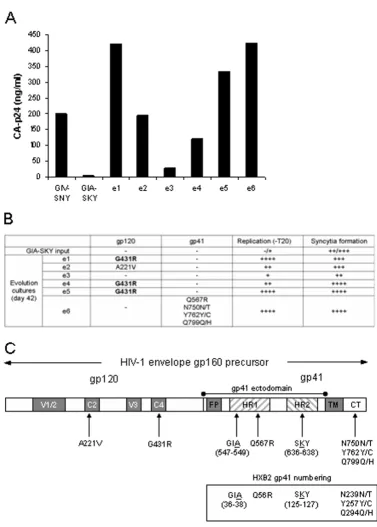 Figure 1Evolution of the T20-dependent HIV-1 variantwhich represent the relative differences in replication capacity