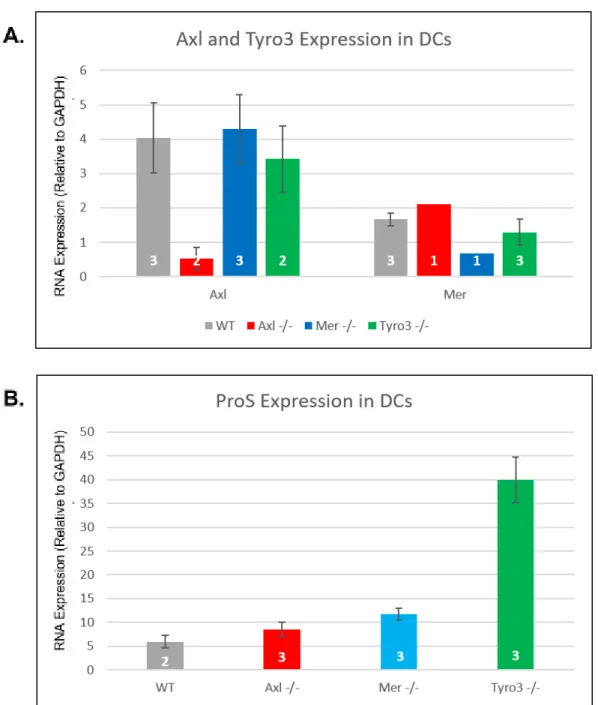 Figure 1- Expression of TAM RTKs and Ligands in DCs Confirms TAM RTK Knockout  Data were obtained using qPCR to quantitate mRNA expression in murine  ​CD11c​ + ​ ​DCs of  indicated phenotypes