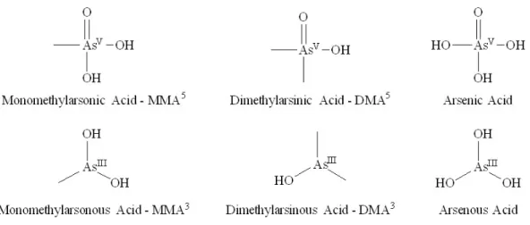 Figure 1. Structures of various forms of arsenic that are relevant in arsenic metabolism