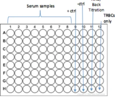 Figure 1. Example setup of 96-well V-bottom plate for hemagglutination inhibition assay with  columns as described above