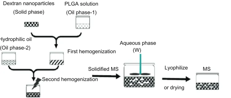 Figure 1 Schematic drawing of microsphere preparation.Abbreviations: PLGA, poly(lactic-co-glycolic acid); MS, microspheres.