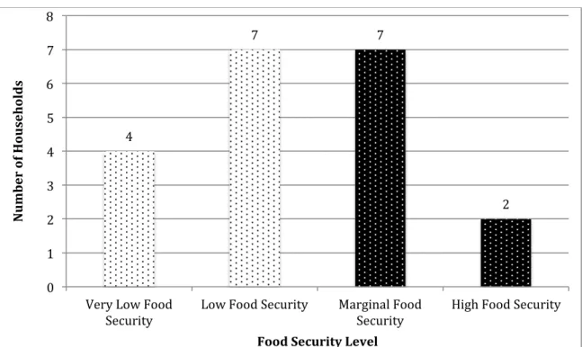 Figure 1. Household food security level distribution. 