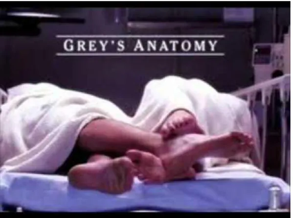 Figure 1. The suggestive cut from the title sequence of Grey’s Anatomy, which  foreshadows the romantic undertones of the show and the theme of intimacy