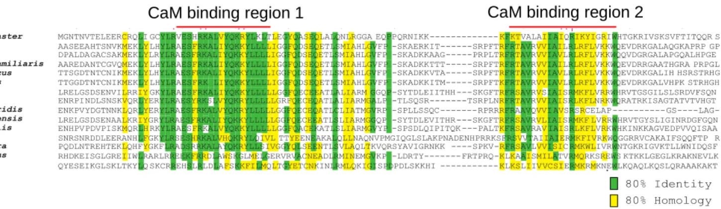 Figure 2. Multiple-sequence alignment of amino acids 2687-2796 in the PACT domain of PLP