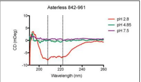 Figure 6. CD spectra of Asl 842-961 as a function of pH at 20°C. pH 2.8, red; pH  4.85, green; pH 7.5, purple