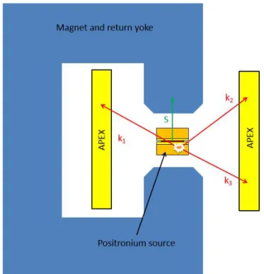Figure 1: Drawing of the CALIOPE experimental configuration, not to scale.