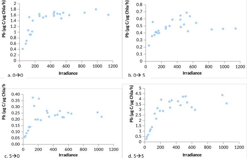 Figure 5a-d. Effect of light environment on P-I curves. Scale varies between graphs in order to make the shape of the curve evident to the viewer