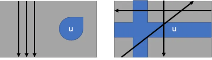 Figure 1. Rays Passing Through Subset Of Domain