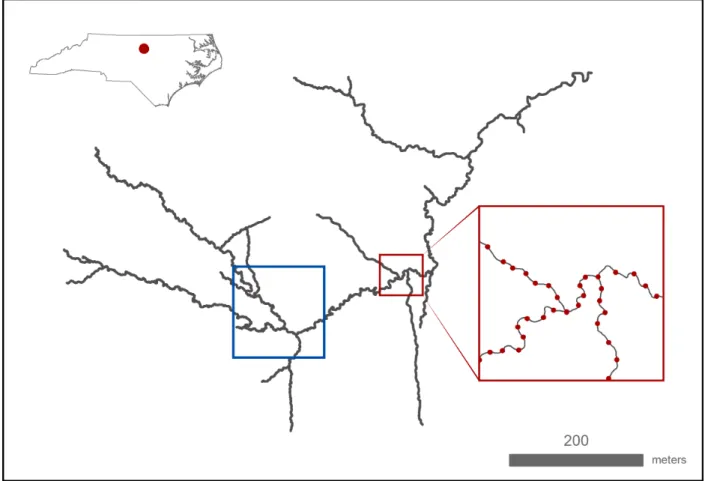 Figure 2.1: Map of study area showing location of all stream segments. The red inset shows how we constructed our sampling network, with flags spaced every five meters along the thalweg