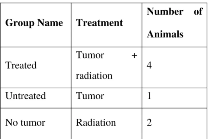Table 1: The table shows the treatment groups that were used for the experiment. 