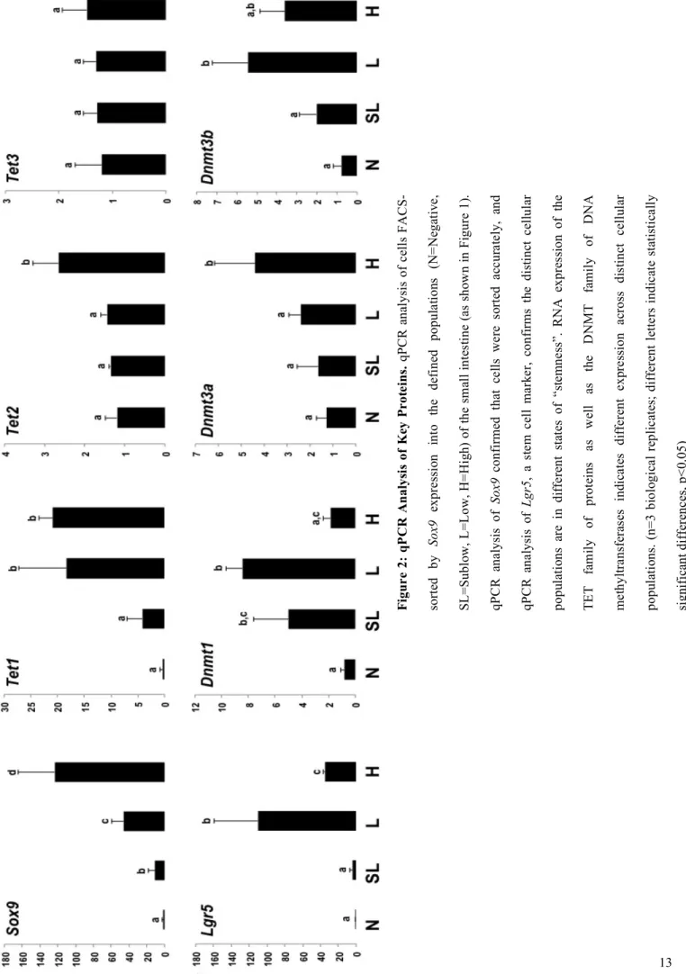 Figure 2: qPCR Analysis of Key Proteins. qPCR analysis of cells FACS- sortedbySox9 expressionintothe definedpopulations (N=Negative, SL=Sublow, L=Low, H=High) of the small intestine (as shown in Figure 1)