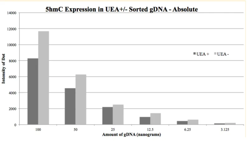 Figure  6:  5-hmC  expression  in  UEA  +/-  populations: UEA  positive  and  negative  sorted  cells  were  analyzed  via  dot  blot  for  global hmC presence