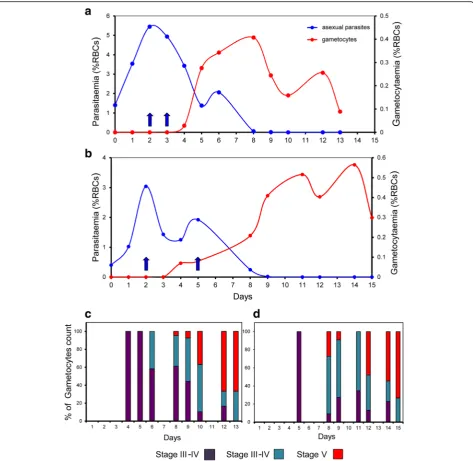 Fig. 4 Induction of gametocytes in the Wave Bioreactor from synchronous P. falciparum blood stage cultures