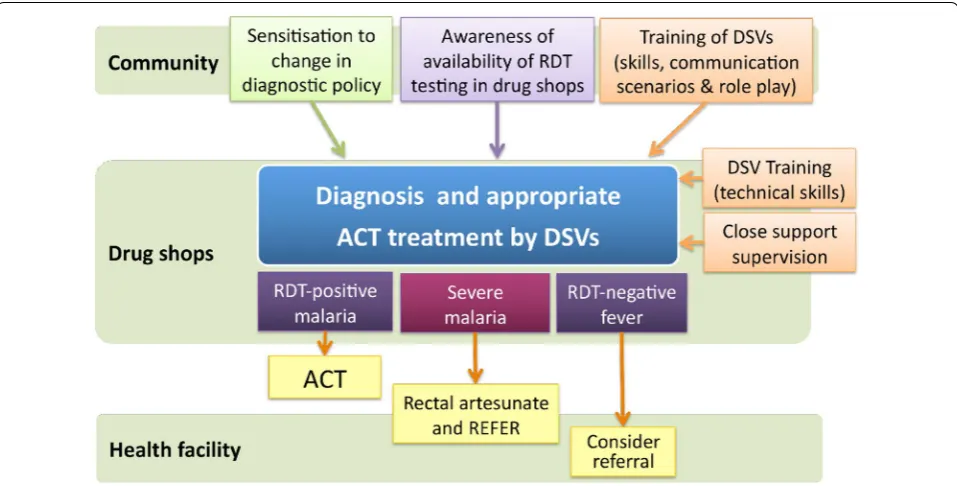 Fig. 1 Intervention design and outcomes