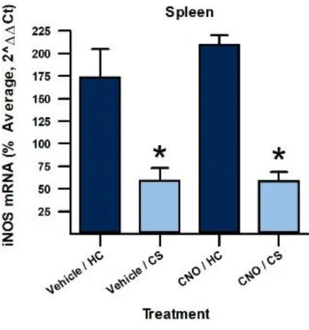Figure 5. iNOS mRNA Production in Experiment 2 (vSub)  