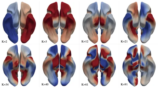 Figure 7: Selected group-average connectome harmonics viewed in +z direction. Red indicates positive values and blue indicates negative values.