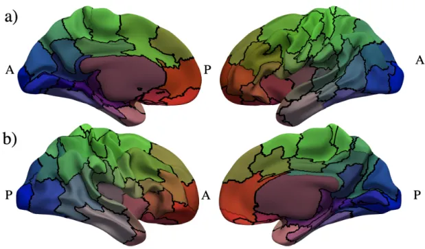 Figure 9: Parcellation result calculated using ψ’s with N clust = 120 color-mapped using barycentric coor- coor-dinates onto manually color-mapped onto the a) left hemisphere and b) right hemisphere of the smoothed group average white matter surface