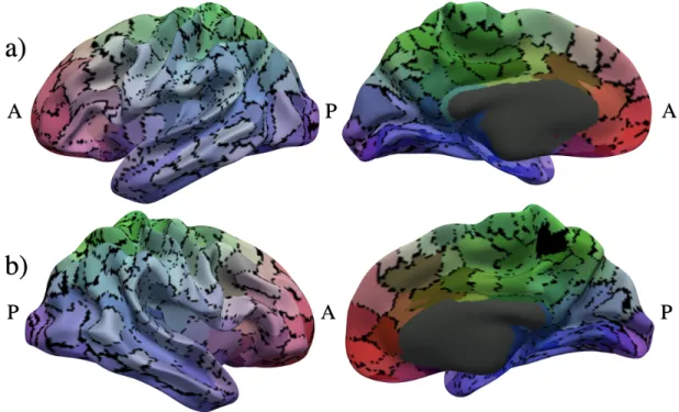 Figure 11: Consensus parcellation calculated using ˜ ψ’s with N clust = 500 and γ = 0.8 color-mapped using barycentric coordinates onto the a) left hemisphere and b) right hemisphere of the smoothed group average white matter surface