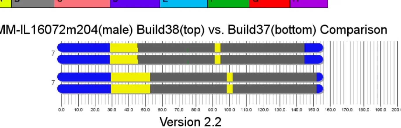 Figure 2. Comparison of the predicted structure of Chromosome 7, generated with the Founder Assignment  algorithm, using Build 37 and Build 38 of the mouse genome