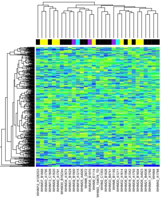 Figure 4. Heatmap of gene expression in 483 mouse genes for 31 samples.  Genes used were those with the  highest standard deviation across the 31 samples
