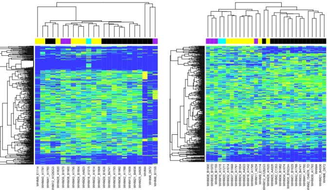 Figure 6. Heatmap colors range from blue (lowest expression) to yellow (highest expression)