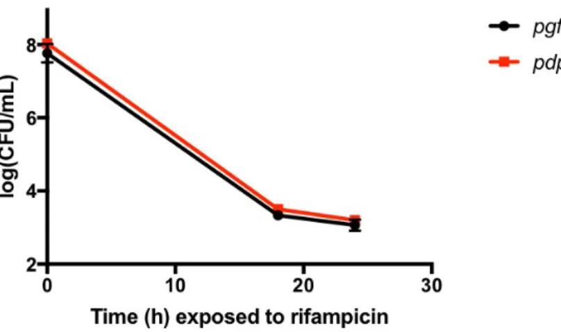 Figure 4. Overexpression of  dps  does not alter antibiotic tolerance in  S. aureus.  S