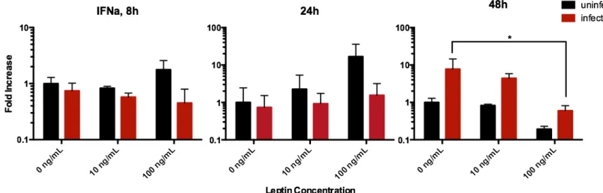 Figure 1. Effects of leptin on human alveolar lung tissue expression of the IFNα gene after 8, 24,  and 48 hours of influenza A/PR8 virus infection, measured by quantitative RT-PCR from total  RNA