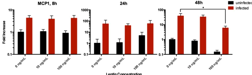 Figure 3. Effects of leptin on human alveolar lung tissue expression of the MCP-1 gene after 8,  24, and 48  hours of influenza A/PR8 virus infection, measured by quantitative RT-PCR from  to-tal RNA