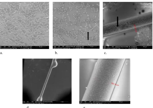 Figure 7.  SEMs of sensors with different casting protocols. (a–c): sensors produced via dip coating, (d–