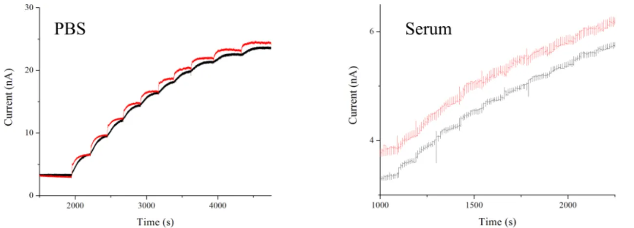 Figure  11.  Amperometric  i-t  curves  for  SG-85A  sensors  in  PBS  (left)  and  serum  (right)  testing  media