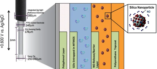 Figure 1. Implantable glucose sensor schematic 
