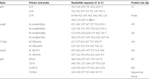 Table 1 Details of primers, probe, product sizes and gene positions in PCR assays and sequencing of rickettsial genes