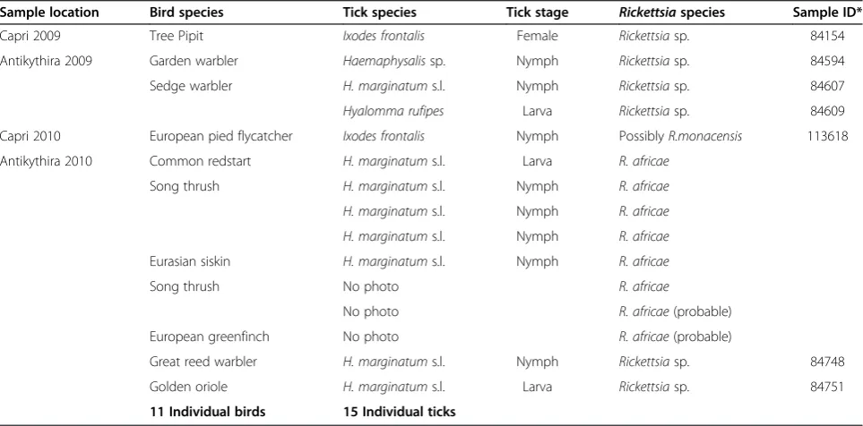 Table 3 Tick species and rate of infection with Rickettsia spp. per stage of development