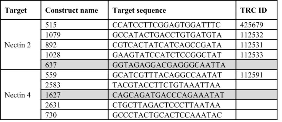 Table 1. Overview of shRNA lentivirus targeting Nectin-2 and -4. Oligonucleotides containing 21bp sequences complementary to regions in  Nectin-2  or  -4  transcripts were selected from  The Broad Institute’s Mission TRC-1 mouse library