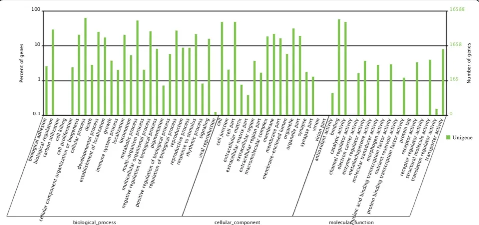 Figure 3 GO function classification of An. sinensis unigenes.