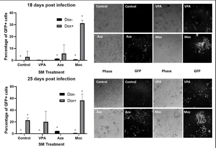 Fig. 6: Flow cytometry data of GFP expression in reprogramming SVT CiA Oct 4 MEFs under different small molecule treatments at  two time points during the reprogramming process