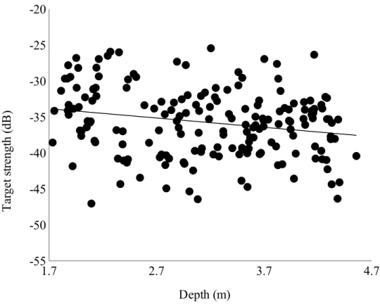 Fig. 4: The average TS versus average depth of each fish as it was recorded  by the echo sounder; p < 0.005.