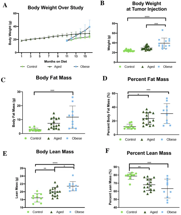 Figure 2. Obese mice displayed the greatest body weight (A, B), body fat mass (C), and percent body fat  mass (D) and lean mass (E) compared to control and aged mice