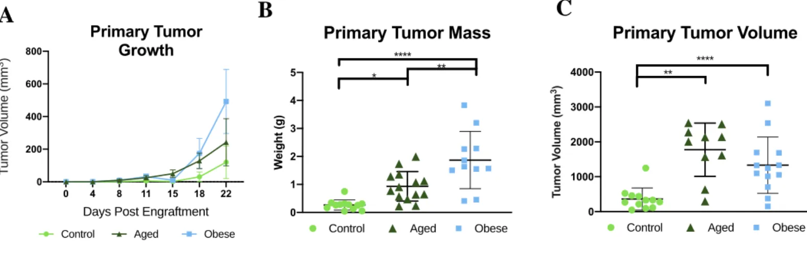 Figure  3.  Advanced  age  and  diet-induced  obesity  drive  primary  tumor  growth.  Aged  and  obese  mice  exhibited accelerated tumor growth in vivo (A) and increased in primary tumor mass (B) and volume (C)  at  study  endpoint,  relative  to  contro