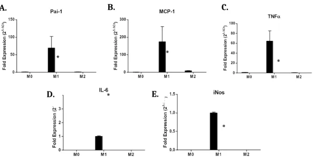Figure 4. Expression of M1 markers in polarized BMDMs by qPCR.
