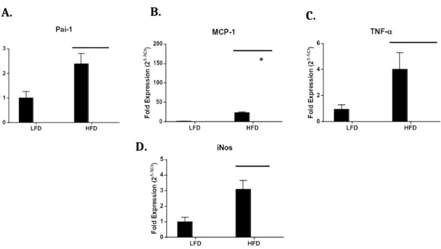 Figure 7: Expression of M1 markers in eWAT by qPCR. Expression of MCP-1 revealed a genotype effect (p=0.0032) as well as a diet effect (p=0.0002) (B).