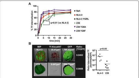 Figure 5 SIV Nef inhibits Tf internalization. (A) 293 T cells expressing the indicated Nef proteins were incubated with Alexa647-conjugatedTransferrin for different periods of time