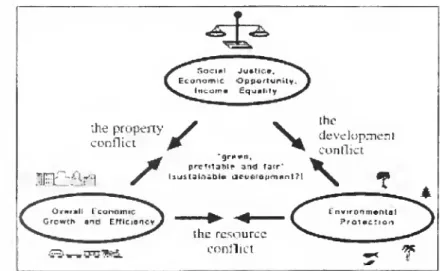 Figure I. The triangle of conflicting goals for planning, and the three associated conflicts