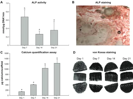 Figure 4 Osteogenic differentiation and mineralization of cellular scaffolds. (between sampling days