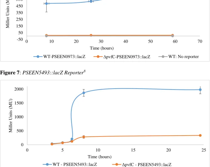 Figure 7: PSEEN5493::lacZ Reporter 8